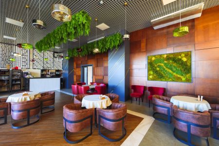 Внешний вид